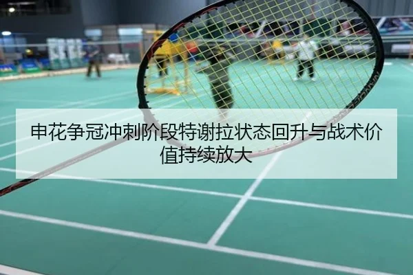 申花争冠冲刺阶段特谢拉状态回升与战术价值持续放大